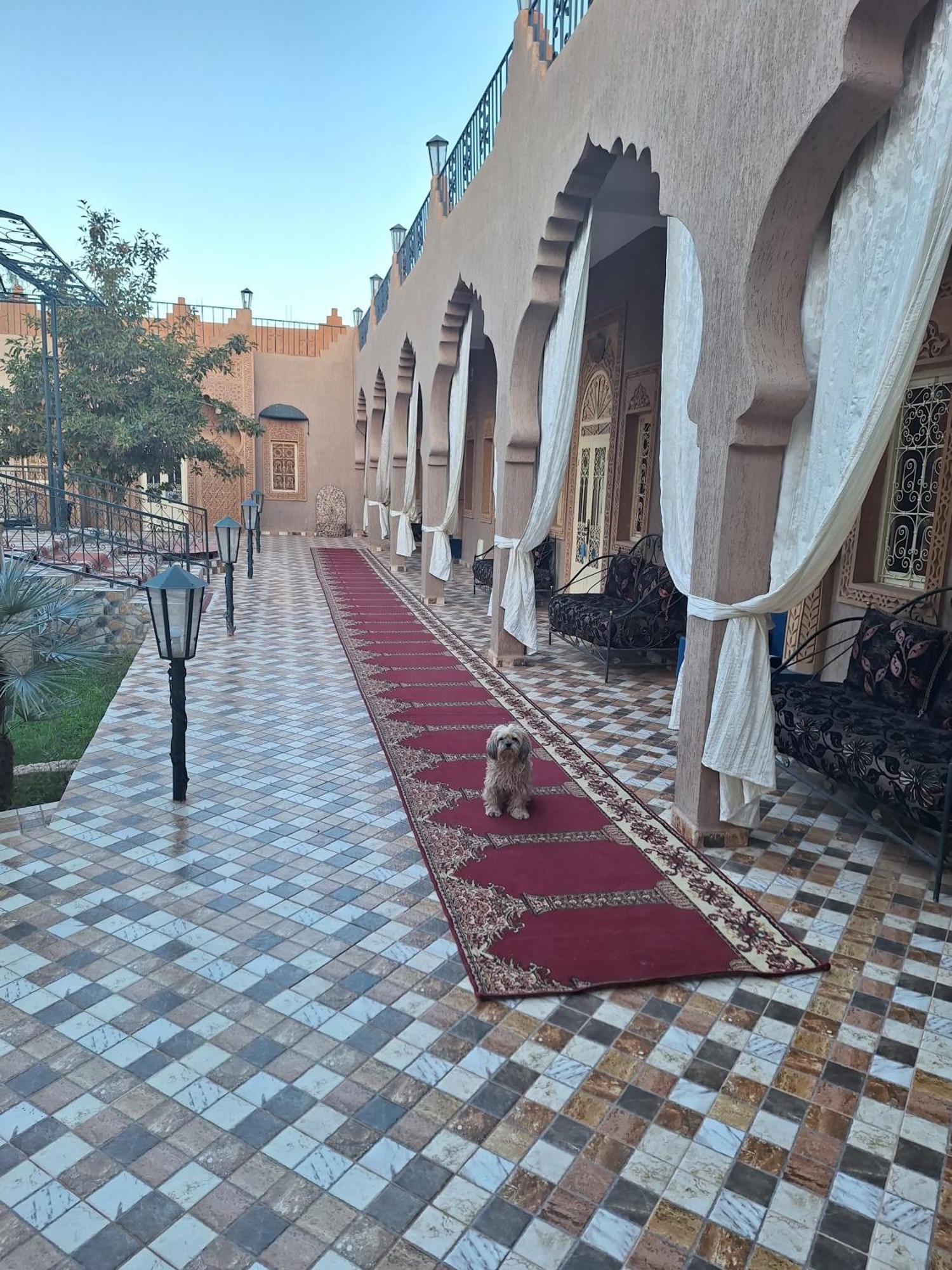 Eden Suite Marrakesh Esterno foto